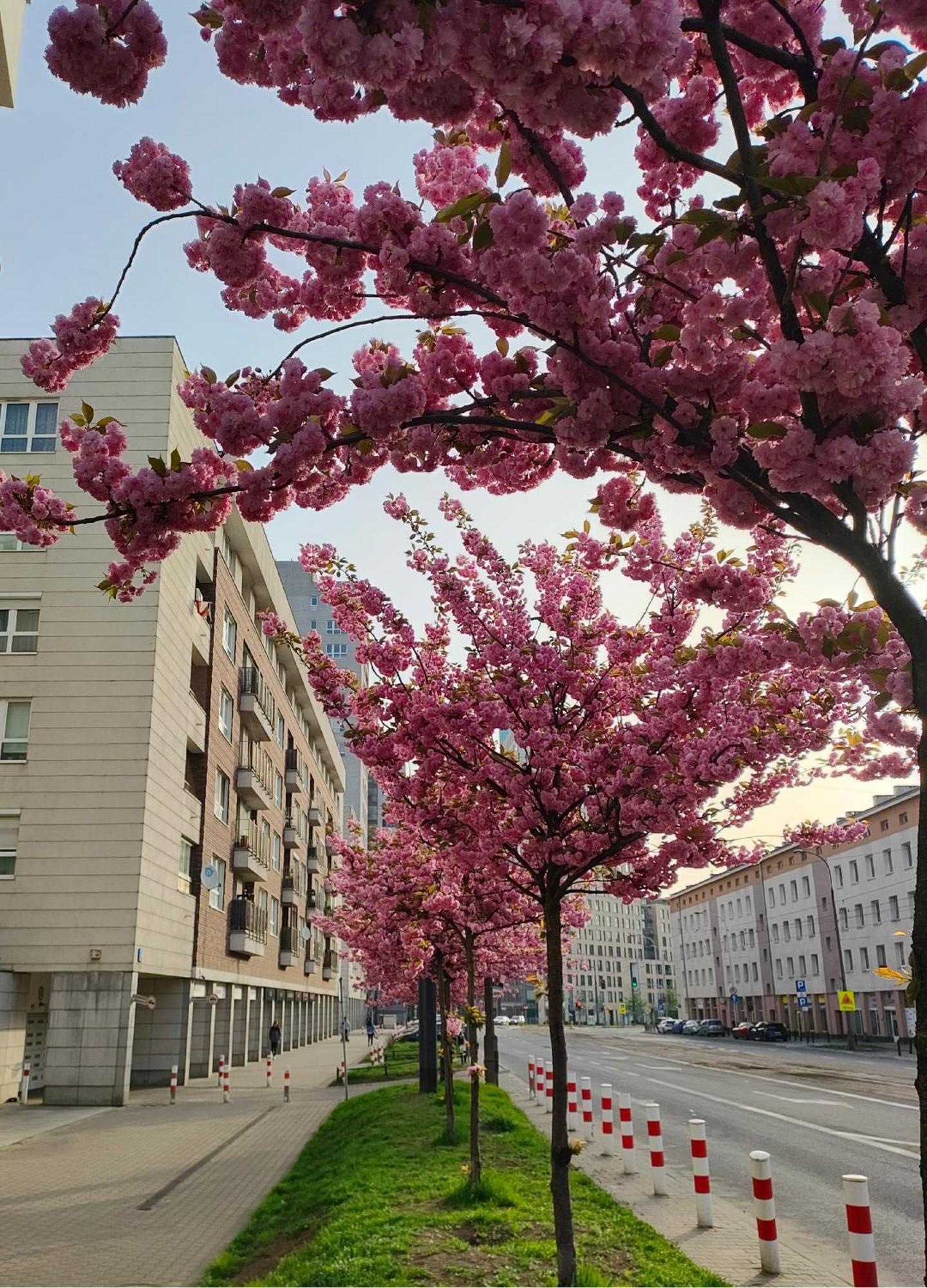Totutotam_02 Apartment Warsaw Ngoại thất bức ảnh