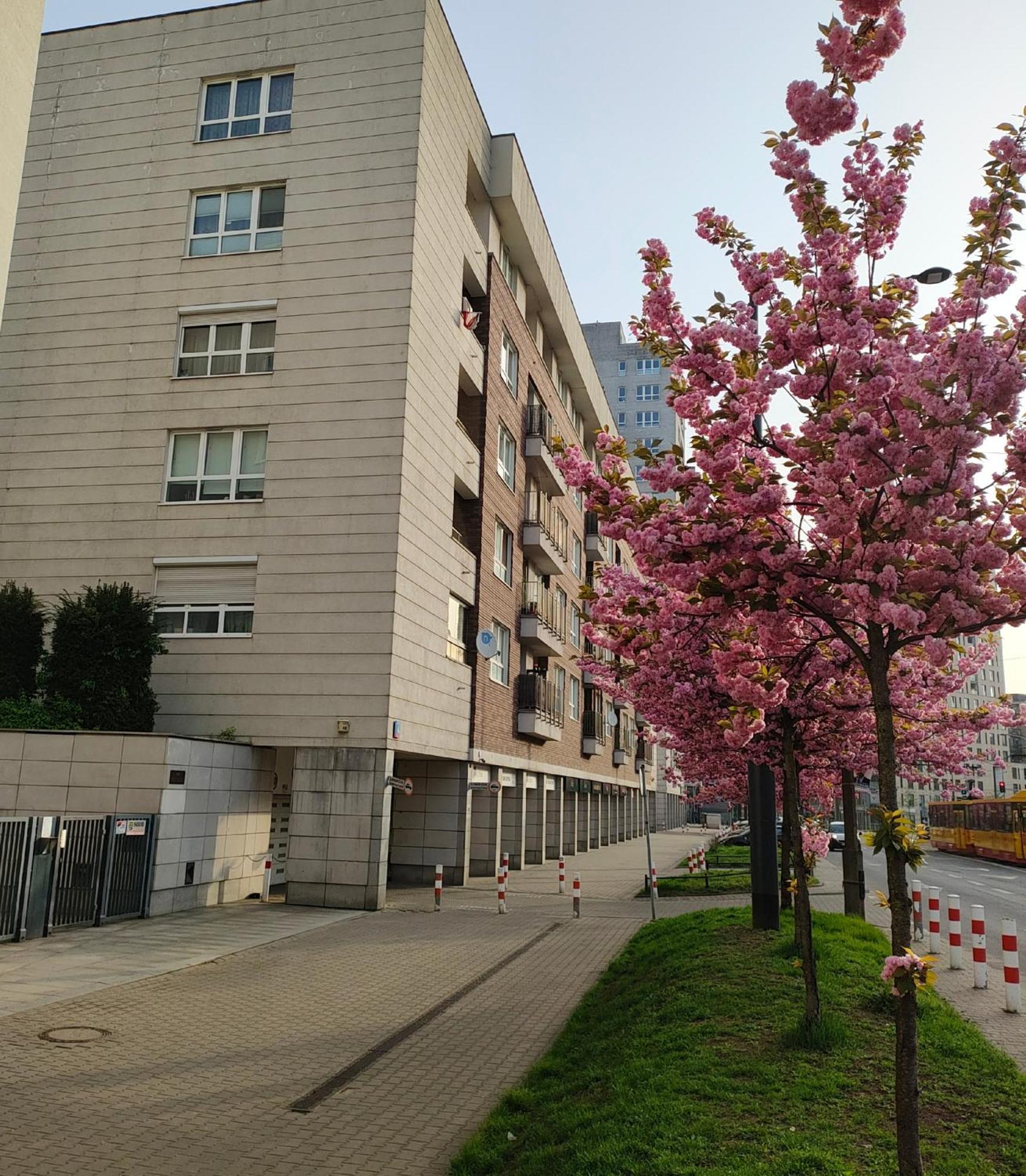 Totutotam_02 Apartment Warsaw Ngoại thất bức ảnh